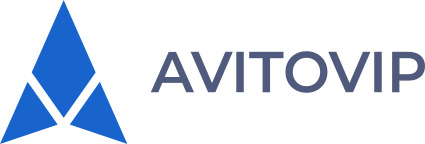 AvitoVIP Transfer